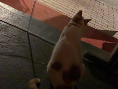 -江湖边·小生活