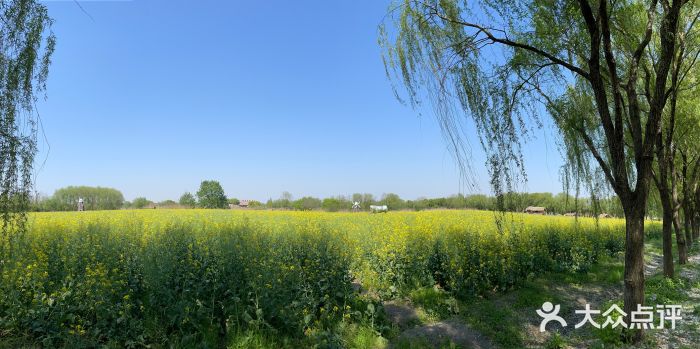 长兴太湖图影湿地文化园图片