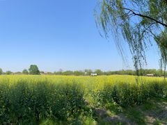 -长兴太湖图影湿地文化园