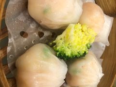 -坚记酒家·佛山老字号·顺德鱼生标准示范店