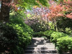 -杭州半山国家森林公园