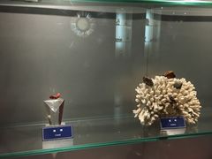 -中国地质大学逸夫博物馆