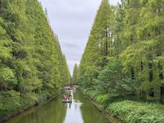 -黄海国家森林公园