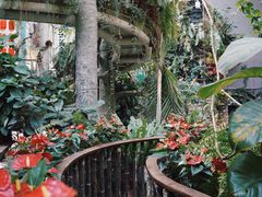 -正佳雨林生态植物园