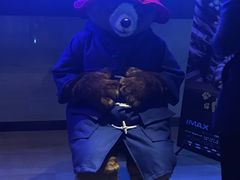 -博纳国际影城IMAX(中央大道店)
