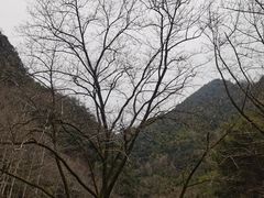 -磐安十八涡风景区