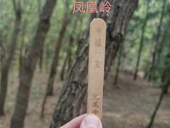 -北京凤凰岭