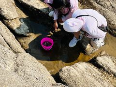 -老虎石海上公园