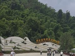 -西双版纳原始森林公园