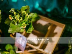 My-上海大酒店(南京东路店)