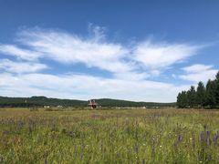 -塞罕坝国家级自然保护区