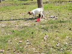 -合肥滨湖国家森林公园