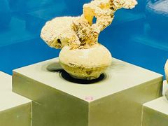 -中国（海南）南海博物馆