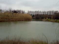 -南湖湿地公园