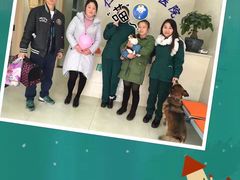 -仁华宠物医院(青羊店)