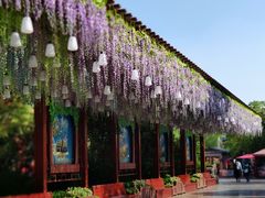 -芜湖方特东方神画