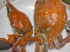 -初色海鲜自助(万丰路店)