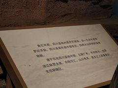 -四川宋瓷博物馆