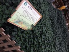 iphone_upload_pic-上海都市菜园