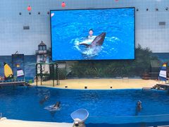 -海合安天津极地海洋公园