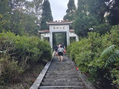 -江西阳明山国家森林公园