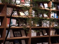 -二酉书店TOYOU BOOKS