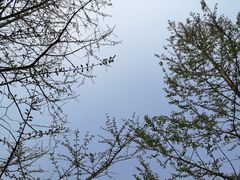 -重庆彩云湖湿地公园