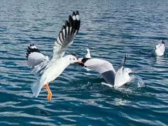 -丽江泸沽湖景区