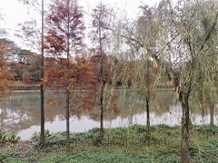 -怡海公园(桂城街道)