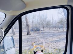 -秦皇岛野生动物园