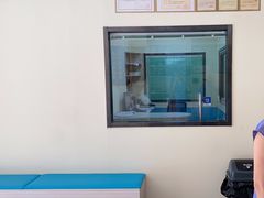 -天宠宠物医院24小时·急重症诊疗中心·全科·腔镜特色(和平分院)