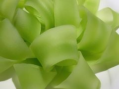 -蜀九香火锅(彩虹店)