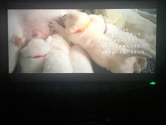 -金逸影城IMAX(光美湛江赤坎店)