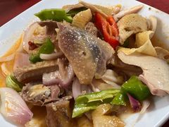 椒麻鸡-马白开来特色羊排揪片子  (总店)