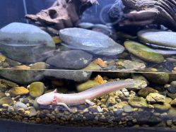 -Zoolung Zoolung动物主题公园(海信广场店)