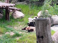 -宁波野生动物园