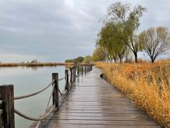 -野鸭湖国家湿地公园