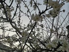 -兰剑驾校(汉阳校区)