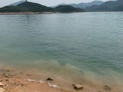-望湖烤鱼