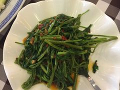 -文东记(马里士他路)