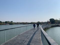 -海珠湖公园