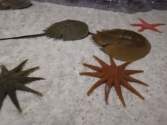 -福州罗源湾海洋世界旅游区