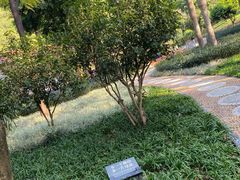 -云溪植物园