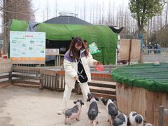 -前小桔亲子创意农场·草莓采摘·露营烧烤