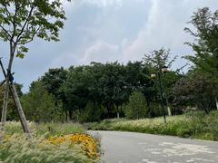 -永定河休闲森林公园