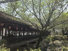 -鹿亭中村