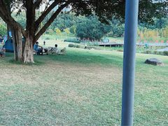 -牛岗山公园