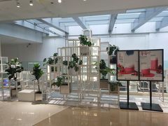 -叶子与茶(苏宁广场店)