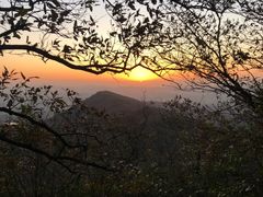 -紫金山山顶公园