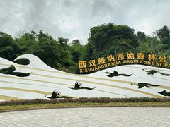 -西双版纳原始森林公园